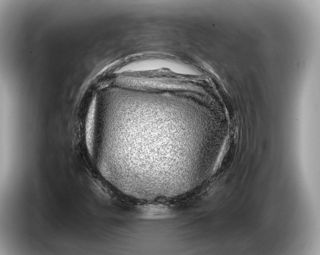 X0000085071448200703191250