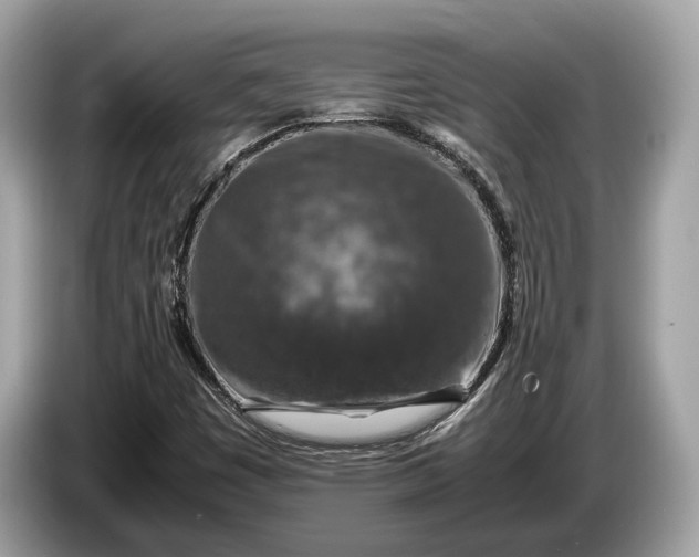 X0000085071449200703191250