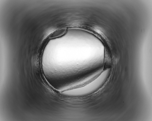 X0000085071450200703191250