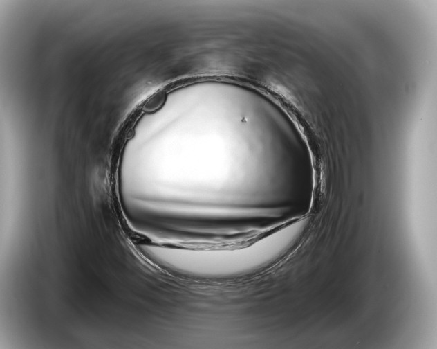 X0000085071452200703191250