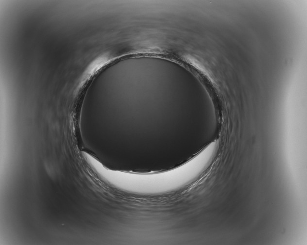 X0000085071455200703191250