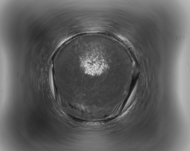 X0000085071457200703191250