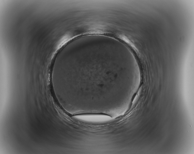 X0000085071459200703191250