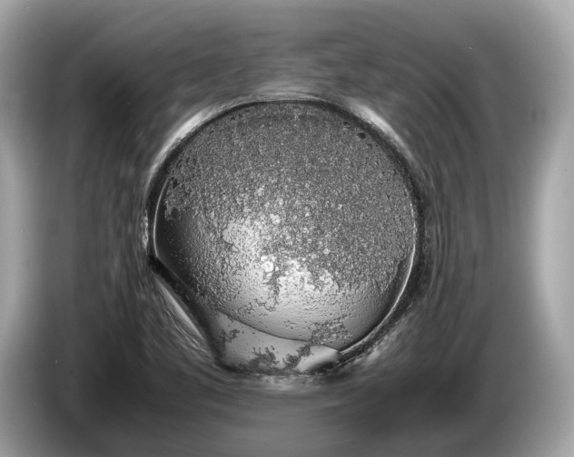 X0000085071461200703191250