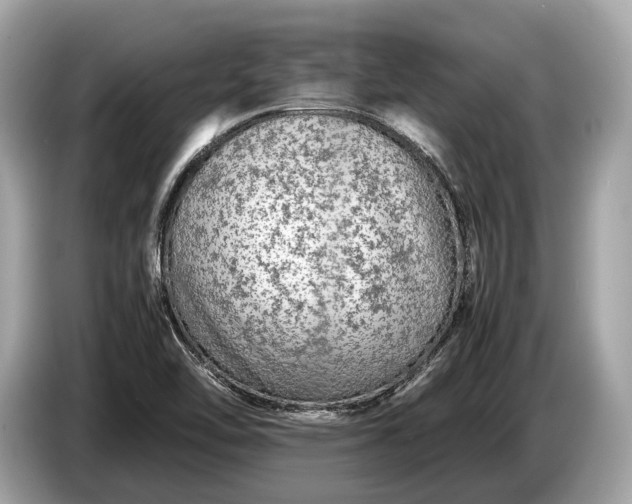 X0000085071462200703191250