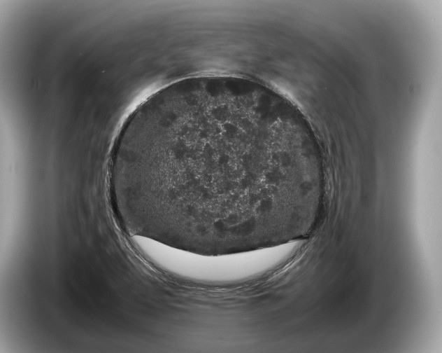 X0000085071463200703191250