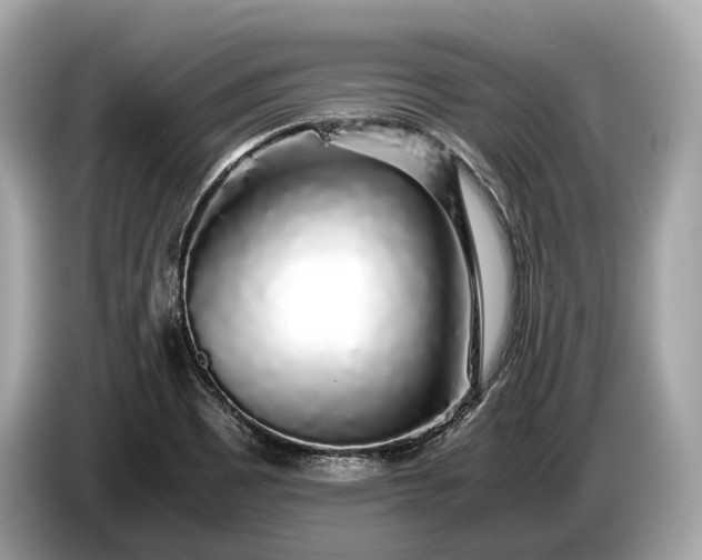 X0000085071465200703191250