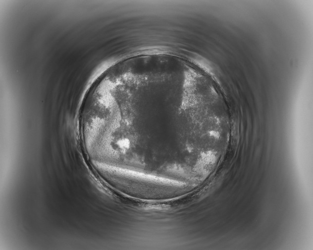 X0000085071466200703191250