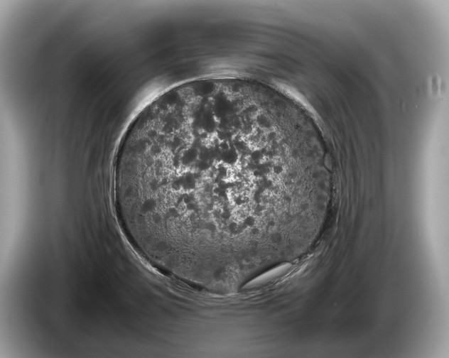 X0000085071467200703191250