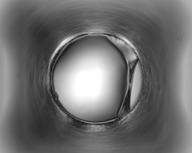 X0000085071469200703191250