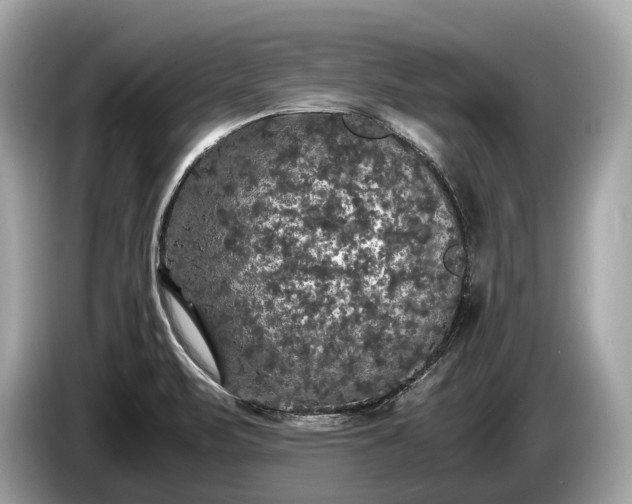 X0000085071471200703191250