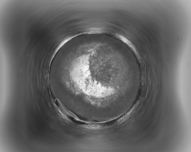 X0000085071473200703191250