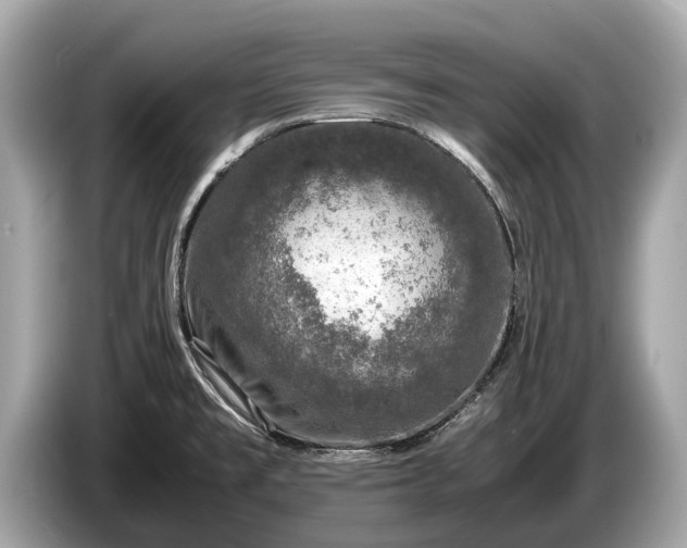 X0000085071477200703191250