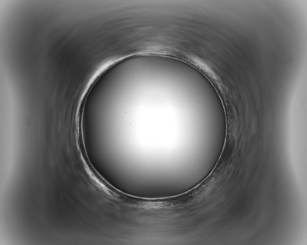 X0000085071479200703191250