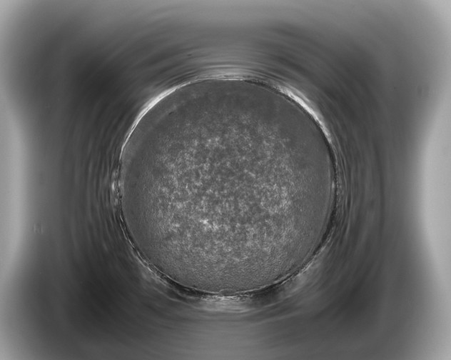 X0000085071481200703191250