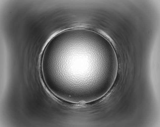 X0000085071483200703191250