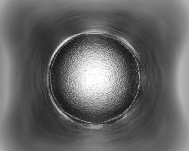 X0000085071484200703191250