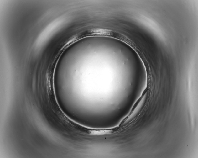 X0000085071487200703191250