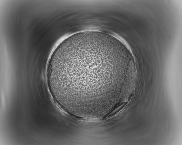 X0000085071488200703191250