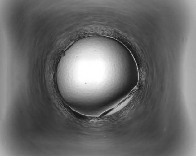 X0000085071489200703191249