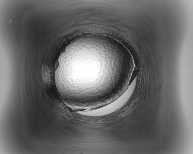 X0000085071490200703191249