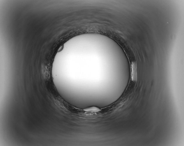 X0000085071491200703191249