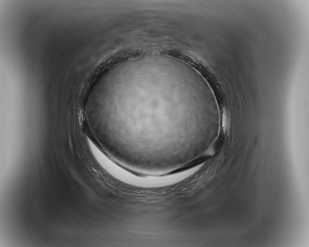 X0000085071492200703191249