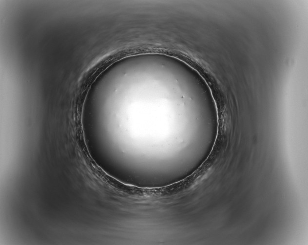 X0000085071494200703191249