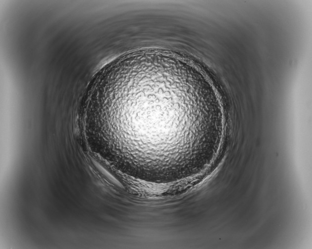 X0000085071497200703191249