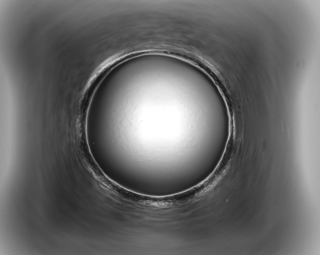 X0000085071501200703191249