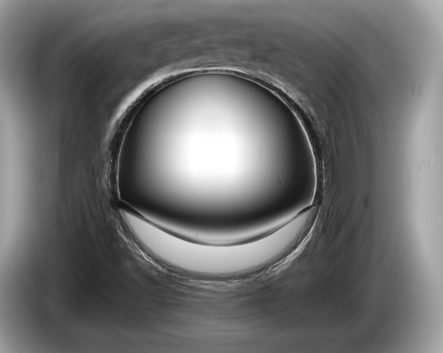 X0000085071502200703191249