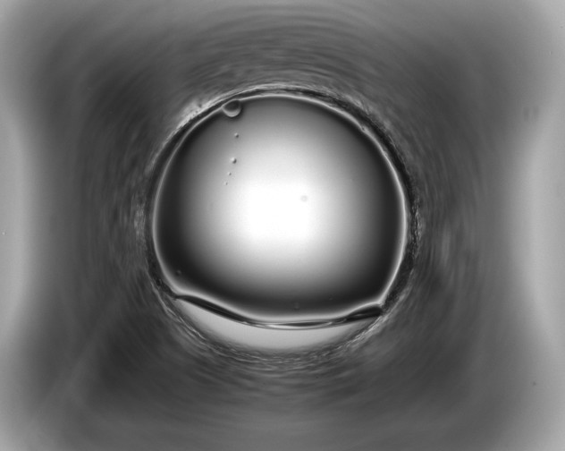 X0000085071505200703191249