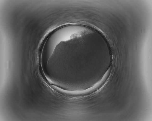 X0000085071506200703191249