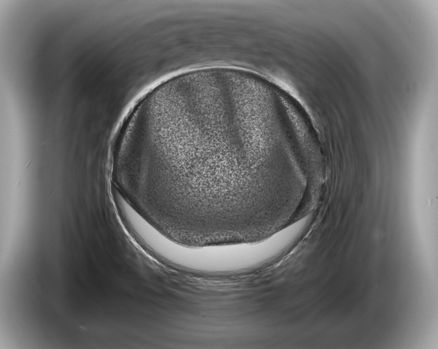 X0000085071508200703191249