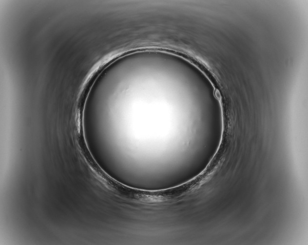 X0000085071509200703191249