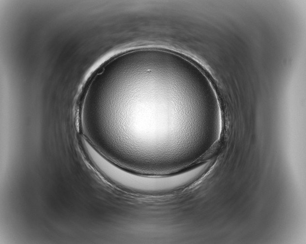 X0000085071510200703191249