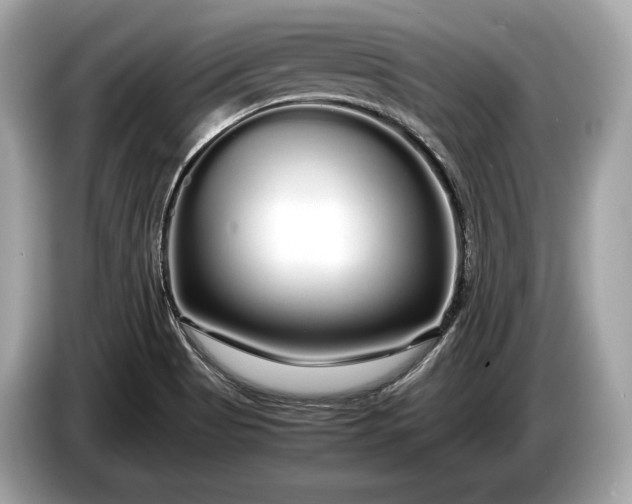 X0000085071513200703191249