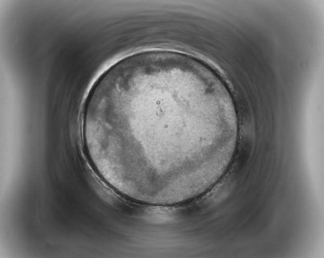 X0000085071514200703191249