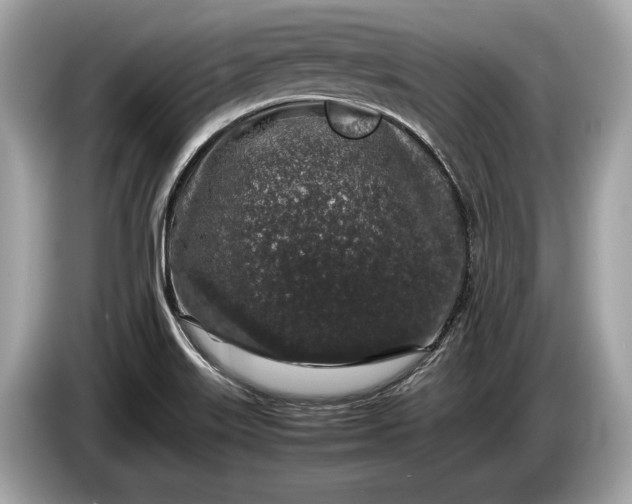 X0000085071515200703191249