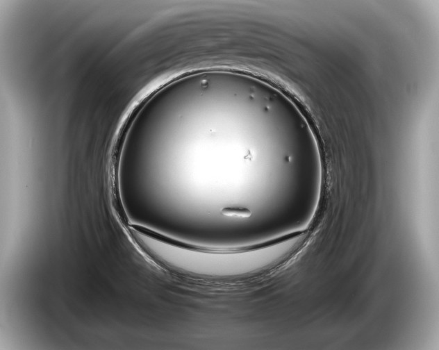 X0000085071517200703191249