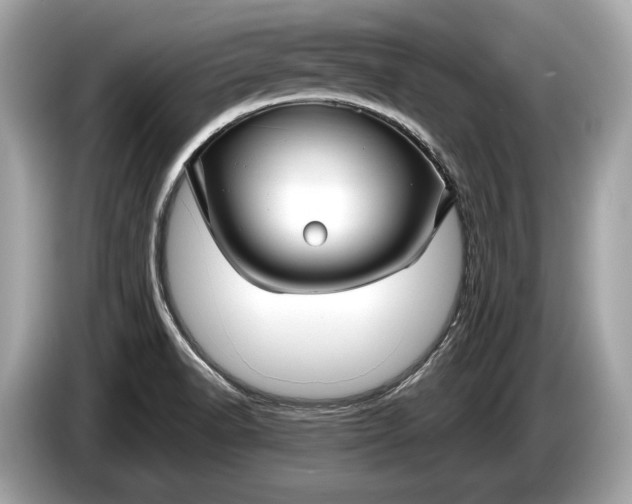 X0000085071518200703191249