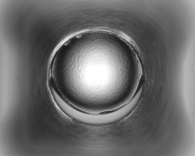 X0000085071520200703191250