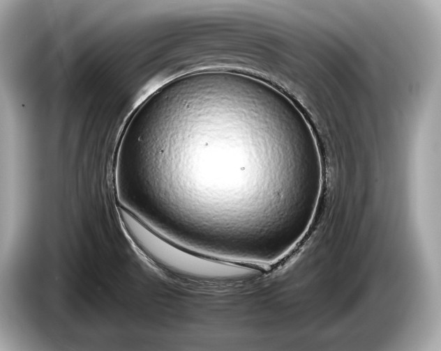 X0000085071521200703191250