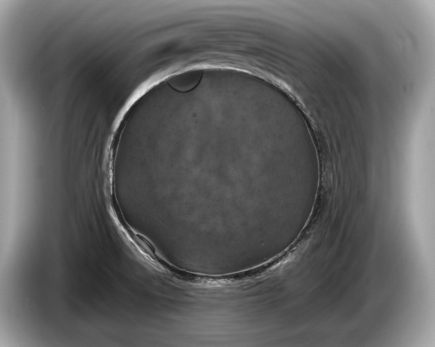 X0000085071522200703191250