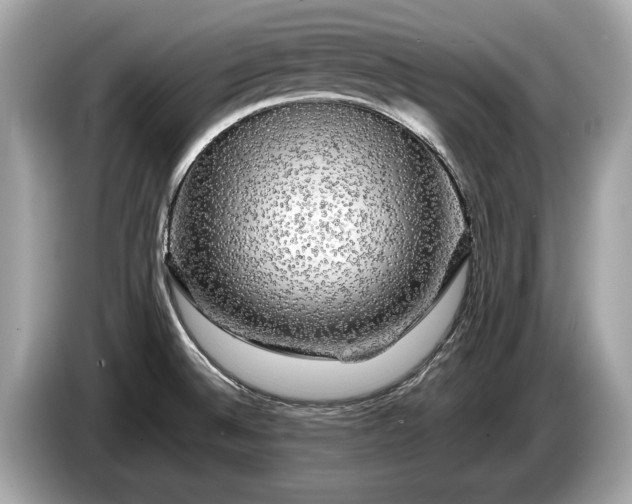 X0000085071524200703191250