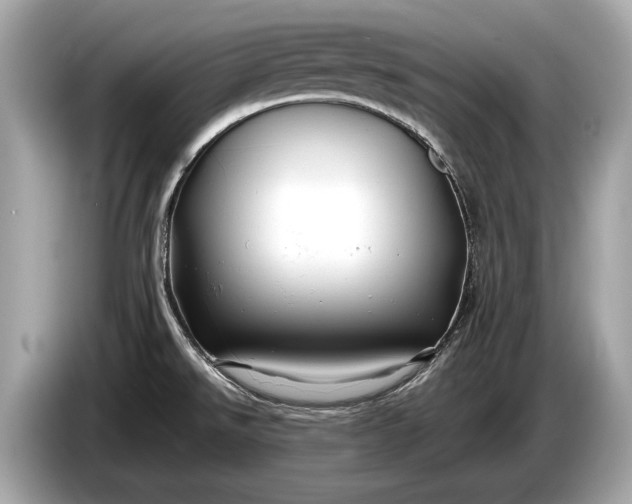 X0000085071526200703191250