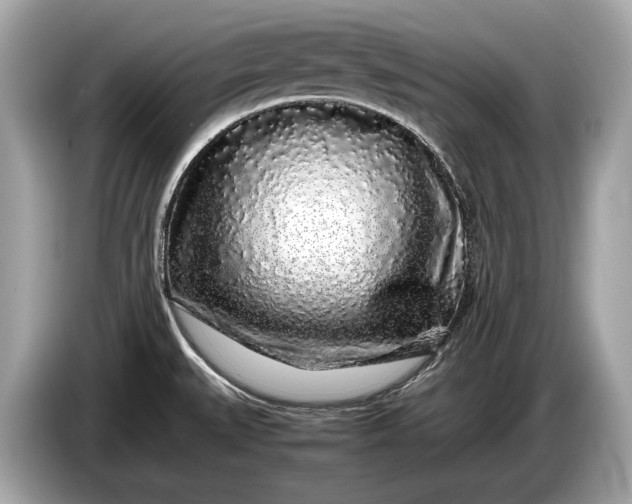 X0000085071527200703191250