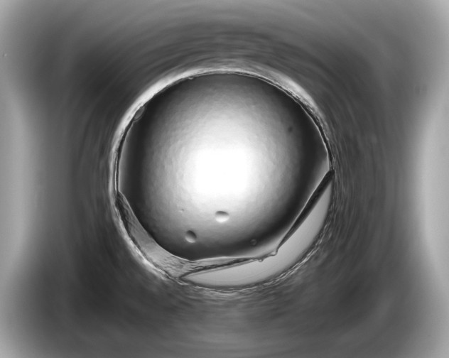 X0000085071528200703191250