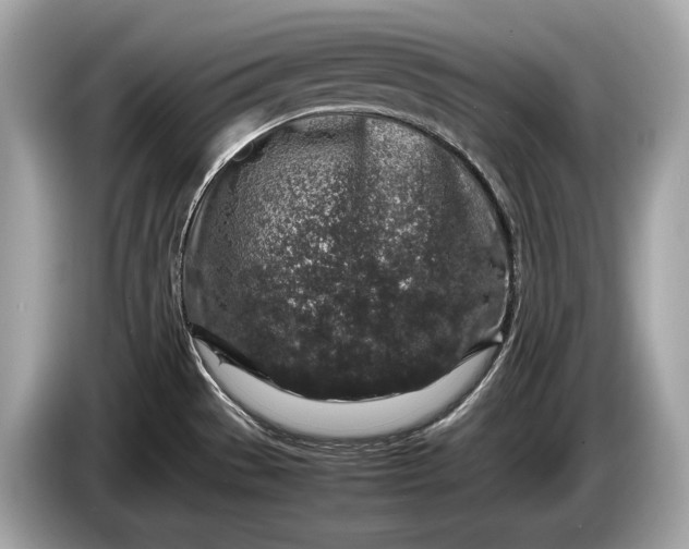 X0000085071529200703191250