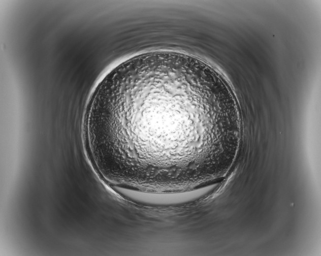 X0000085071533200703191250